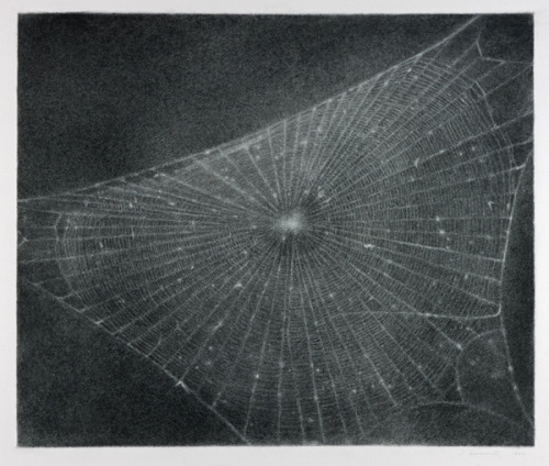 nitescence: Vija Celmins