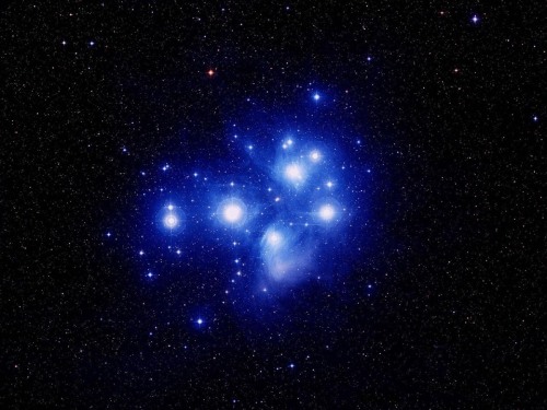 allisonkitten - Here, have some space