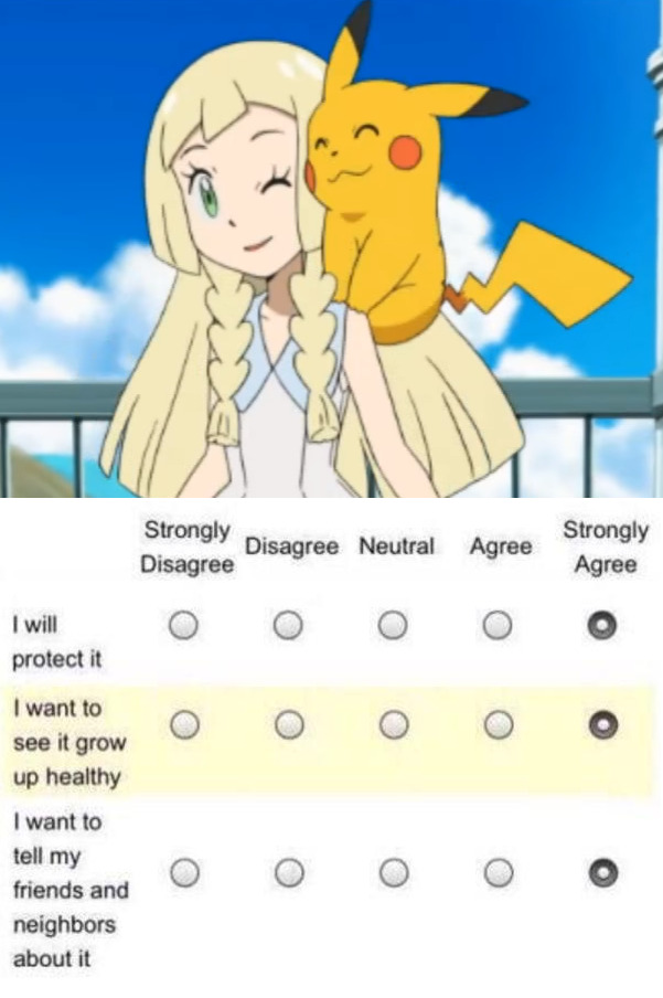 ='T'=
