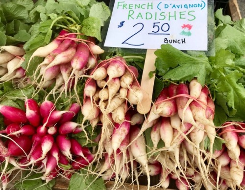 French Radishes (d’Avignon), Burke Farmers Market, Fairfax, 2018.