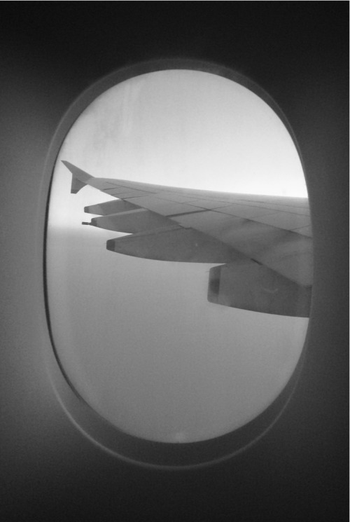 thaystmello.tumblr.com/post/85288564655/
