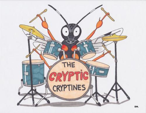 THE CRYPTIC CRYPTINES!