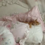meowiesfunsies