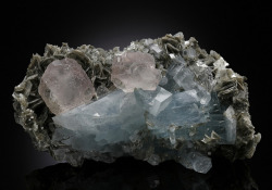 bijoux-et-mineraux:  Pink Fluorite with Aquamarine on Muscovite - Chumar Bakhoor, Hunza Valley, Gilgit District, Northern Areas, Pakistan