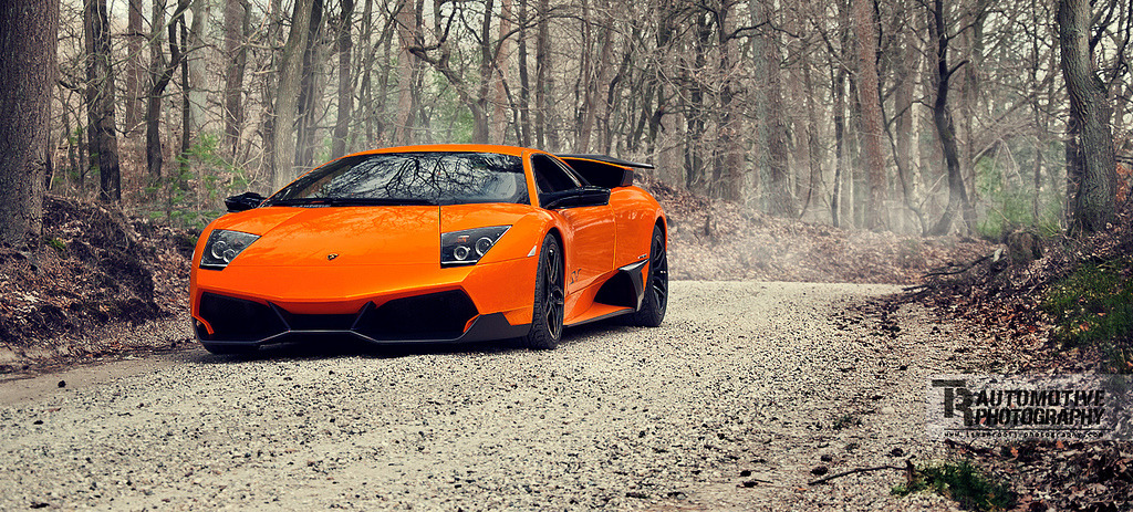 automotivated:  A Wild Bull Appeared… (by Thomas van Rooij)