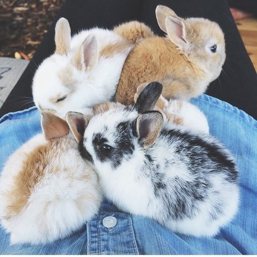 unevxntful:  my blog will make you smile ♥