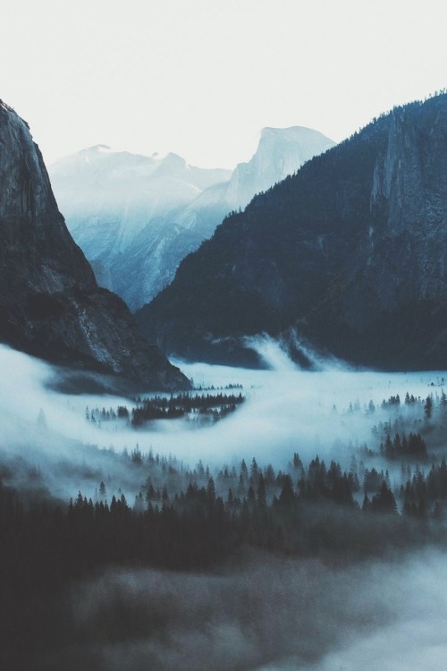 ikwt: Foggy Yosemite (bdorts)