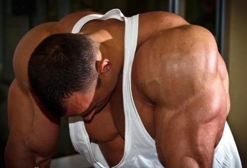 MUSCLE CORPS