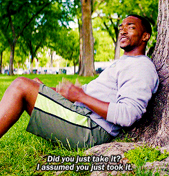 bansheepower:  Falcon: 30% hero, 70% sass 
