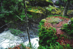 tuaari:  Sooke Potholes - January 2016