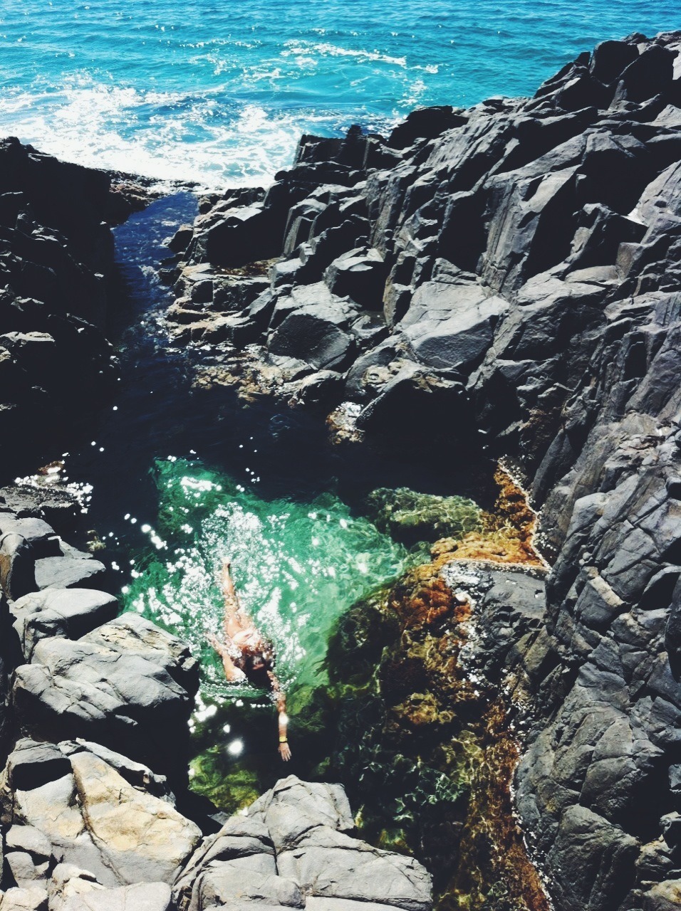 neonreef:  Locals only 