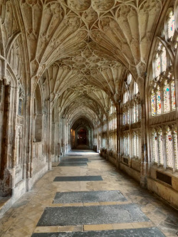 wanderthewood:  Gloucester Cathedral, Gloucestershire, England by Sandfordway 