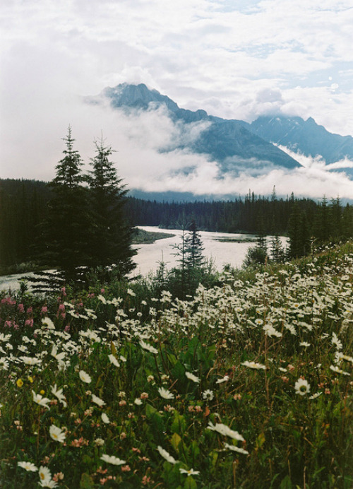 okiepokey:  The journey of a thousand milesbegins with one step.
