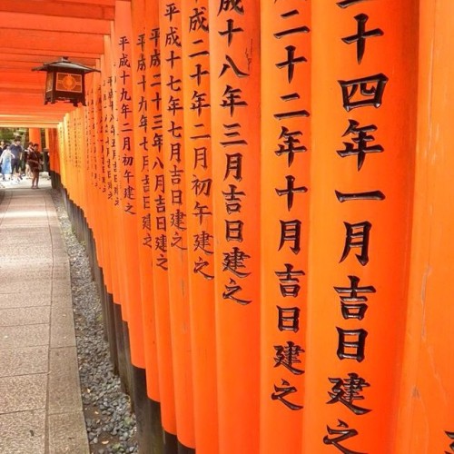 #FushimiInari #Inari #Giappone #Japan #Nihon #Summer #2014 #Kyoto #京都 #伏見稲荷 #日本