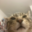 samnameismy