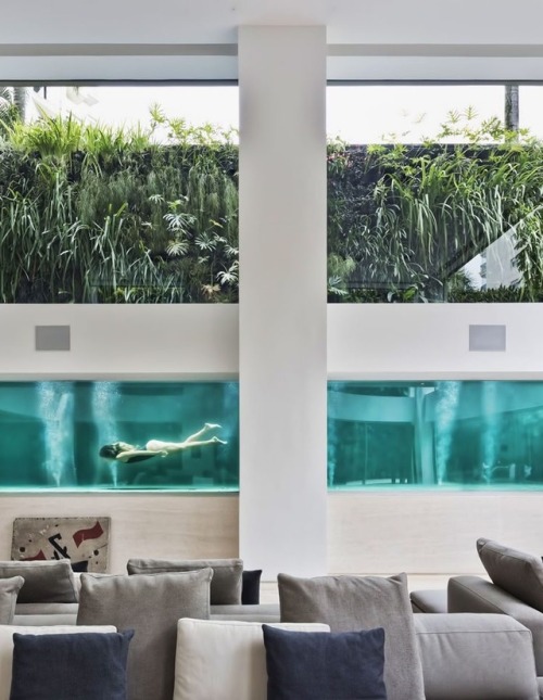 archatlas: Panorama By Fernanda Marques Arquitetos Associados The swimming pool inside ‘Panorama’ —