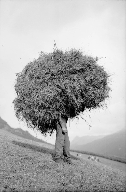 bookoffixedstars:Mountain farmer carrying hay - St Anton am Arlberg, Tyrol, Austria, 1942. Photo: Risch-Lau, Bregenz. Risch-Lau Collection - Vorarlberger Landesbibliothek.source