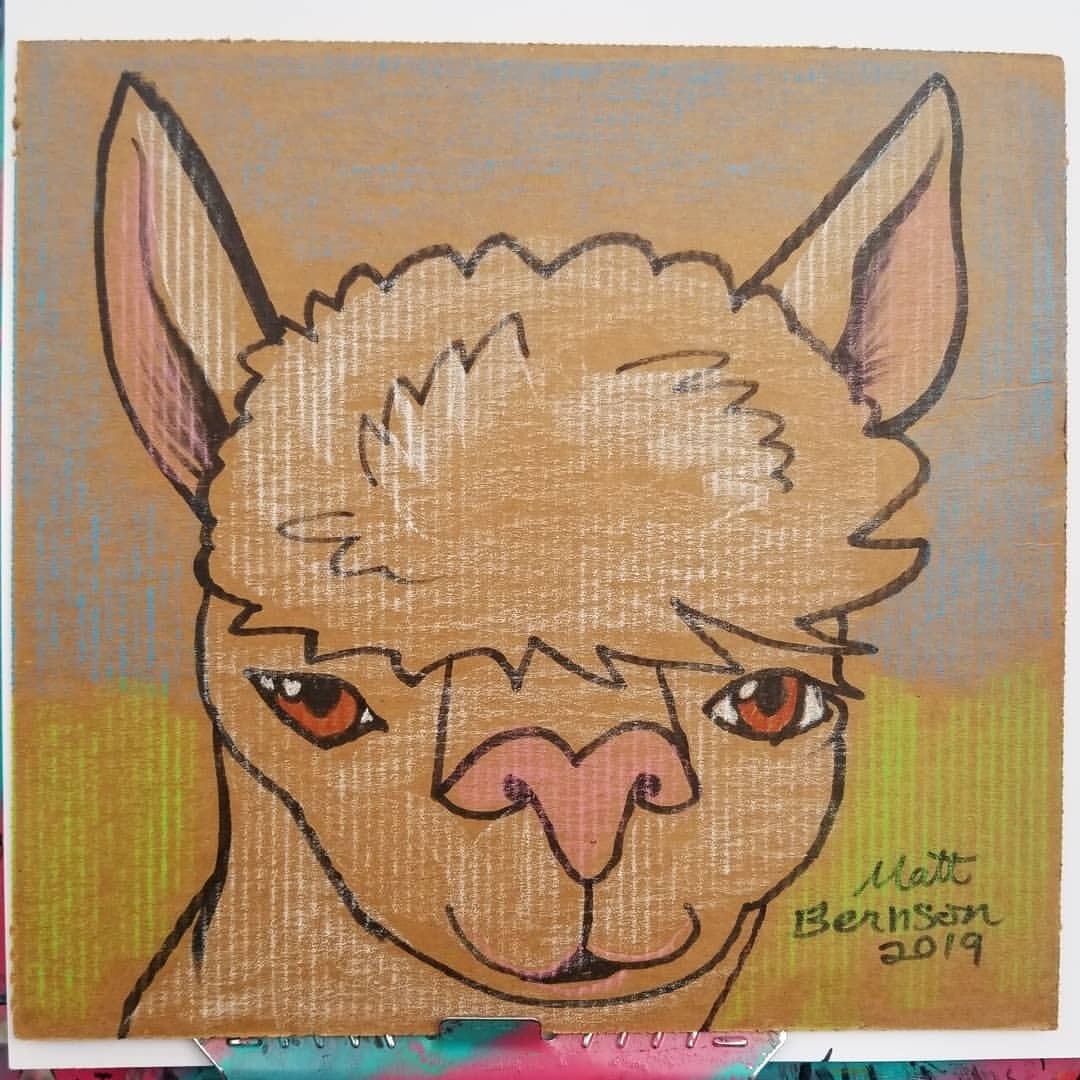 Alpacas are goofy and adorable, and alpaca fur is super comfy!   Drawing caricatures