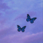 tinybuterfly
