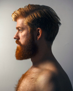 ginger-kicks:  The Ginger Profile.