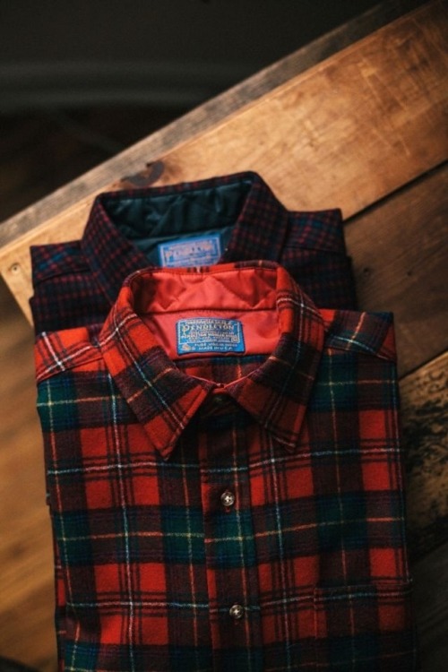 alabina-life:  Plaid