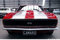 insect-in-your-ears:  Chevrolet Camaro SS