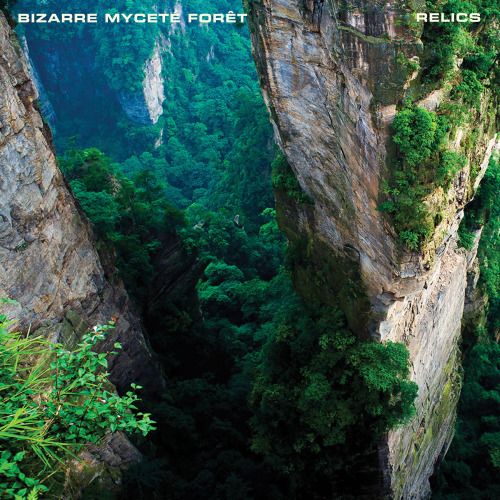 luxxuryproblems:  Bizarre Myceté Forêt - Relics