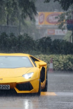 alecsgrg:  Lamborghini Aventador LP700-4 