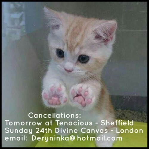 Cancellations!! Email me if you are interested: Deryninka@hotmail.com