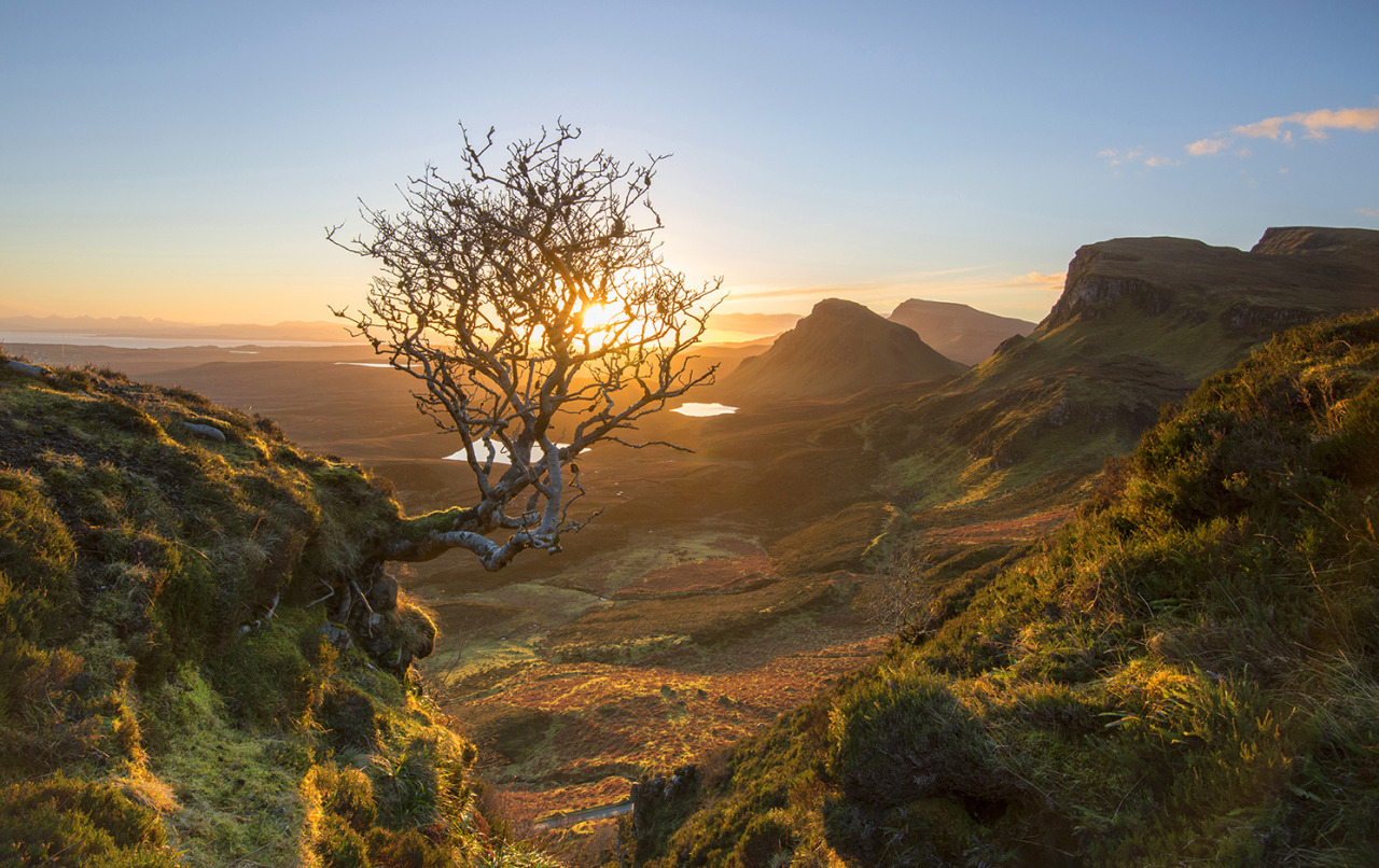 me-lapislazuli:  The Quiraing Tree | by whitefootphotography | http://ift.tt/1Sa5wfZ