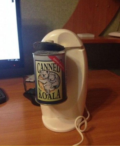 pr1nceshawn:What Canned Koala looks like…