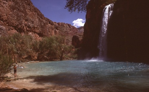 slideofthetimes:May 1979 // waterfall // Havasu Falls, Arizona