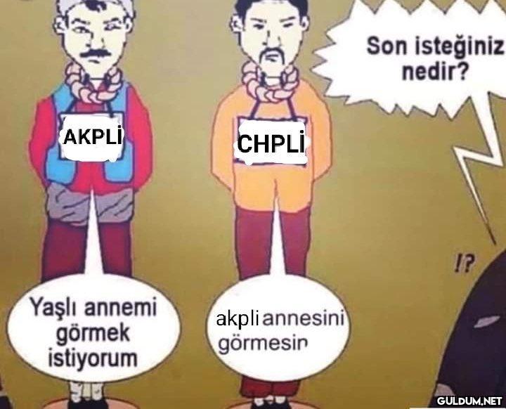 AKPLİ Yaşlı annemi görmek...