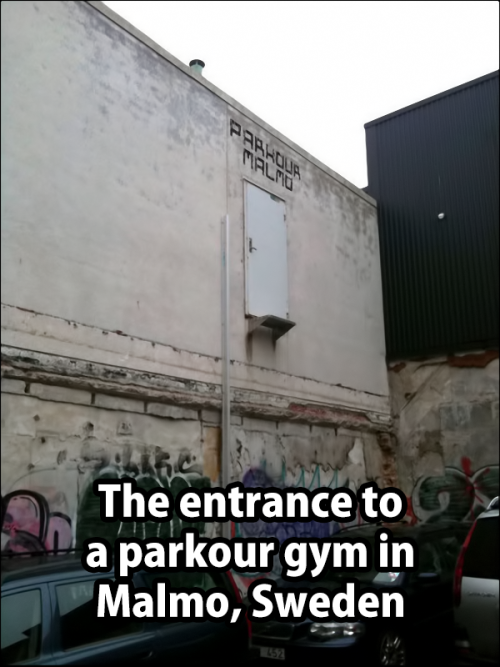 sanitaryum:  FTW!  Parkour Gym Win was originally published on Sanitaryum | CLEAN HUMOR | Clean Funny Pics, Vids & GIFS