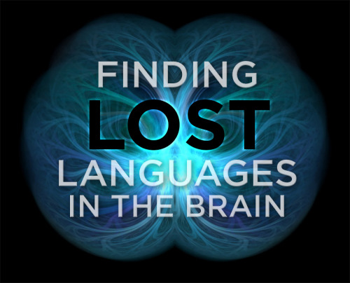 skunkbear:  Your mother tongue has a lasting effect on your brain — even if you can’t remember it. That’s according to a new study from the Montreal Neurological Institute and Hospital and McGill University’s Department of Psychology. It’s hard