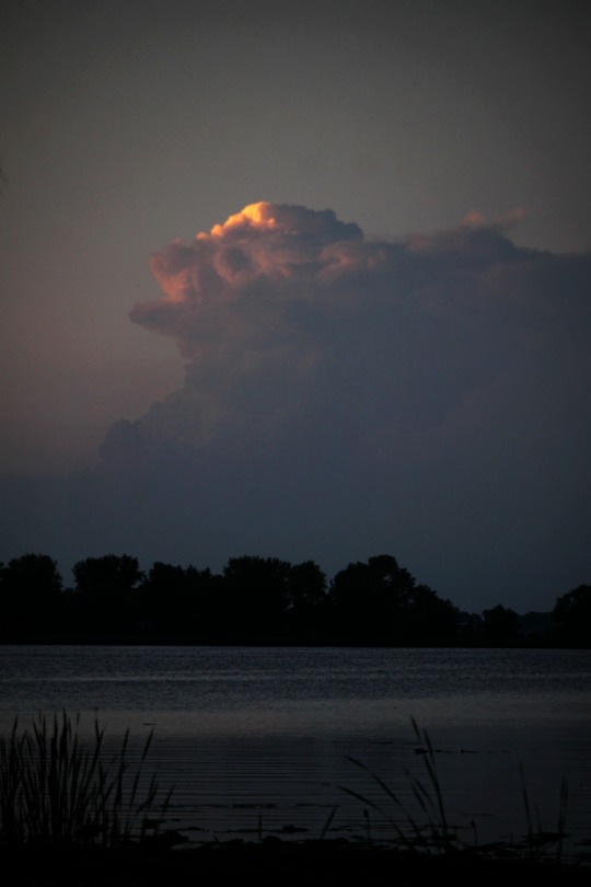 ...last light