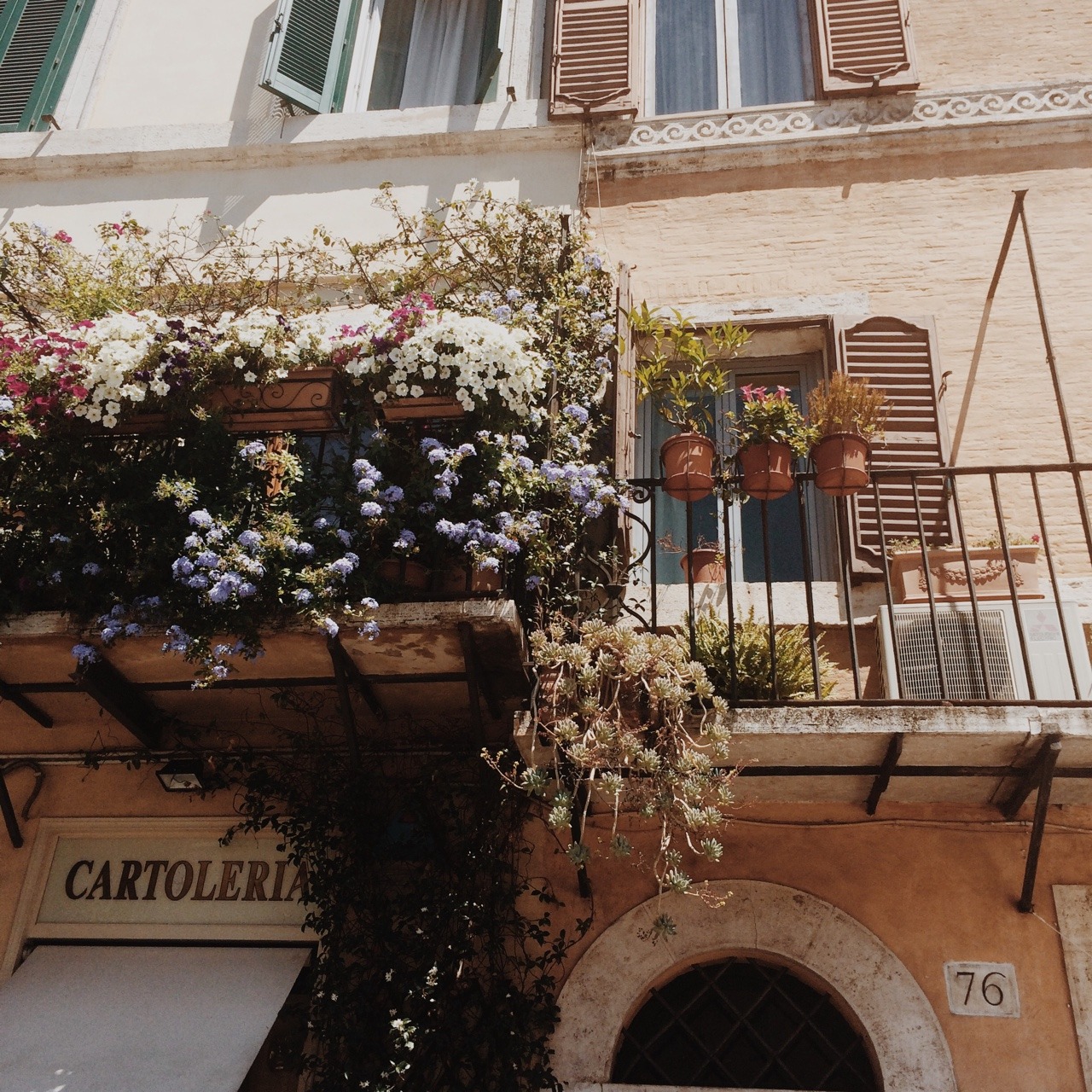 plantables:  when in Rome