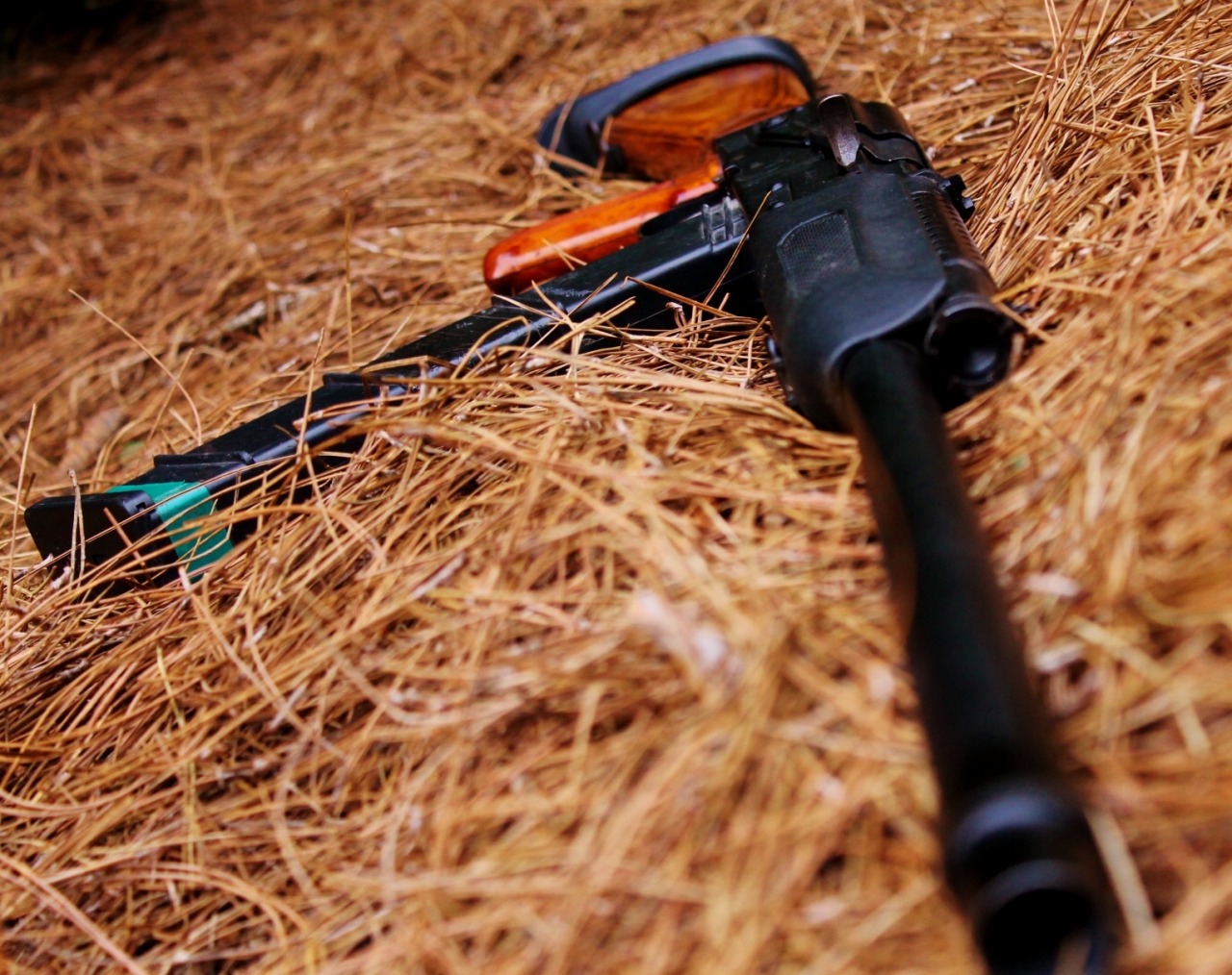 bolt-carrier-assembly:  My IZ-107 Mix of wood and poly. Ventilated guard over gas