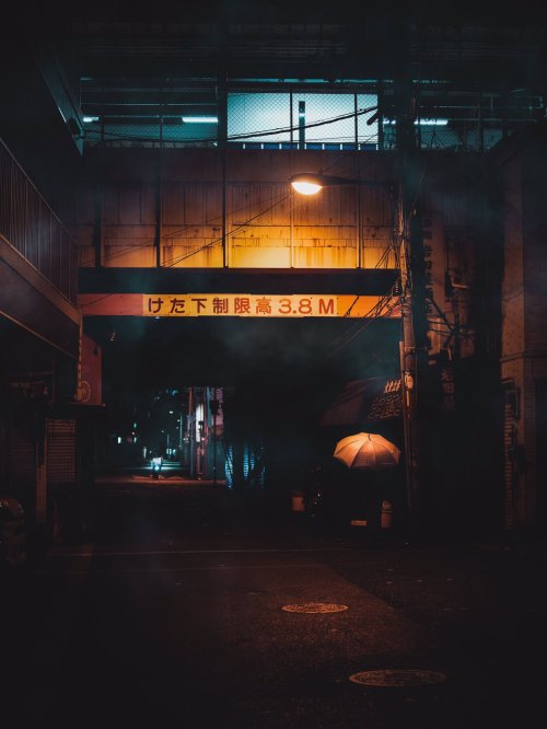 Omi aka Omi Kim aka Cram Box (Japanese, based Osaka Prefecture, Japan) - Night Story, Photography