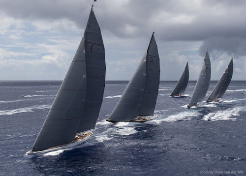 mindbodysea:  laventdunorde: A sailor is an artist whose medium is the wind. Live passionately, even if it kills you, because something is going to kill you anyway….- Webb Chiles  I sailed two J’s in the morning, Sailed two J’s at night.  I sailed