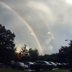 freestonew:  The rainbow.  (at Tallahassee