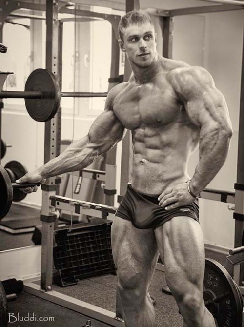 tshtrainer:  Premium Muscle www.tshtrainer.tumblr.com