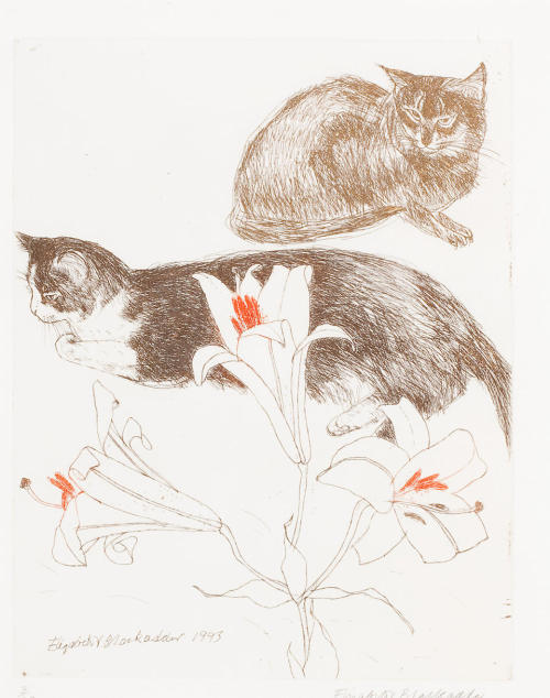 poboh:Cats and Lillies, Elizabeth Blackadder. born in 1931 - Coloured Etching -