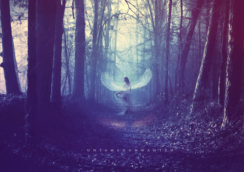 fotosfornovelas:  -Chicas con alas