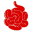 vscera1