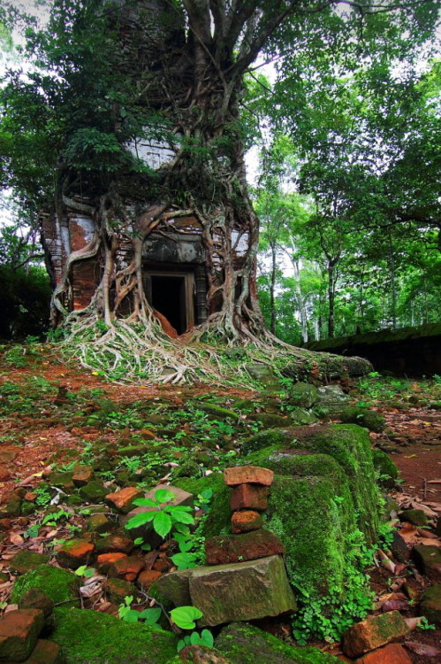 visitheworld:  Prasat Prem Temple, Siem Reap / Cambodia (by Septimus Low).