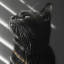 black-light29