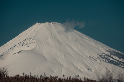 hakone in the spring - march 2019