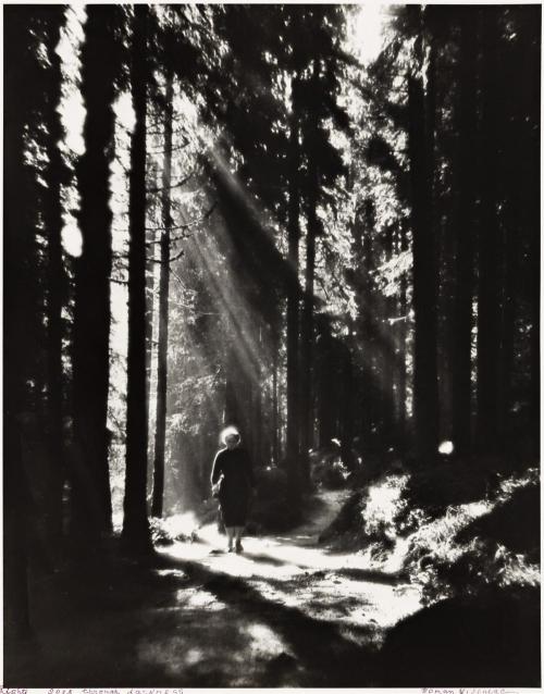 poboh: The Beam of Light Enters The Darkness, 1938, Roman Vishniac (1897 - 1990)