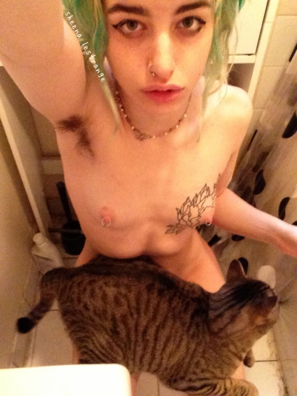 disgustinghuman:  Good morning cat. Oh you don’t mind that I’m currently pooping?